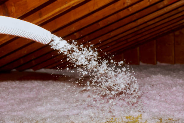 Best Insulation for Specific Applications in St Hedwig, TX