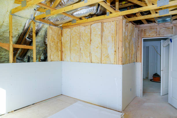 Best Insulation Installation Services in St Hedwig, TX