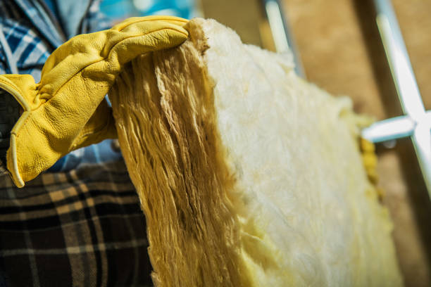 Best Types of Insulation in St Hedwig, TX