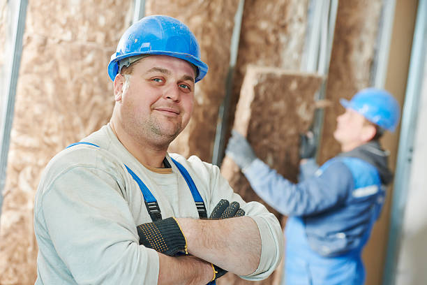 Best Insulation Maintenance and Repair in St Hedwig, TX
